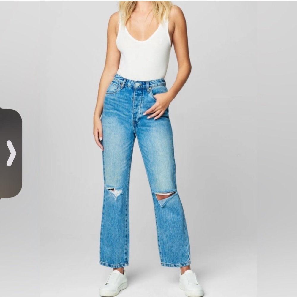 NWT BLANK-NYC The Howard Mid-Rise Loose Fit Jeans Sz 26